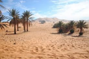 Comment le Sahara vert a disparu
