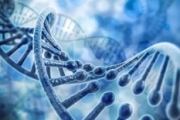 Des chercheurs américains veulent réécrire le génome humain